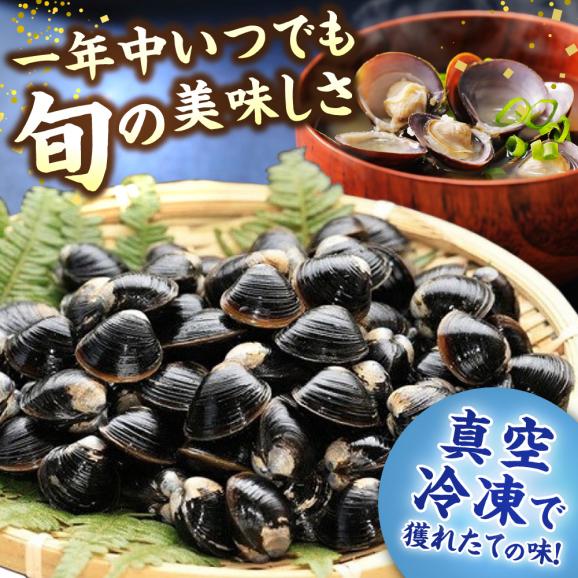 【数量限定100個】生産量日本一！宍道湖産 ヤマトシジミLサイズ(真空冷凍) 80g×20袋 島根県松江市/有限会社日本シジミ研究所[ALBS002]03