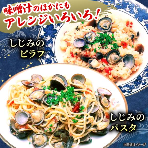 【数量限定100個】生産量日本一！宍道湖産 ヤマトシジミLサイズ(真空冷凍) 80g×20袋 島根県松江市/有限会社日本シジミ研究所[ALBS002]04
