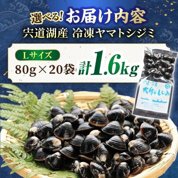 【数量限定100個】生産量日本一！宍道湖産 ヤマトシジミLサイズ(真空冷凍) 80g×20袋 島根県松江市/有限会社日本シジミ研究所[ALBS002]06