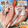TV放映多数！県内外のファンがわざわざ訪れる 天日ほしもん屋特製 のどぐろ干物×4枚（特大サイズ・20cm以上） 島根県松江市/桝谷鮮魚店[ALCJ002]