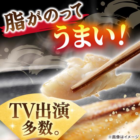 TV放映多数！県内外のファンがわざわざ訪れる 天日ほしもん屋特製 のどぐろ干物×4枚（特大サイズ・20cm以上） 島根県松江市/桝谷鮮魚店[ALCJ002]04