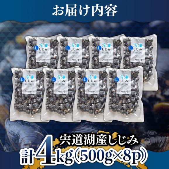 食べる分だけさっと使える！宍道湖産 冷凍大和しじみ (L)500g×8袋 島根県松江市/平野缶詰有限会社[ALBZ001]03
