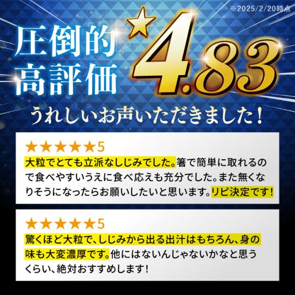 超希少！特大粒プレミアムサイズ 宍道湖産冷凍大和しじみ 特大粒500g×2袋 島根県松江市/平野缶詰有限会社[ALBZ014]02