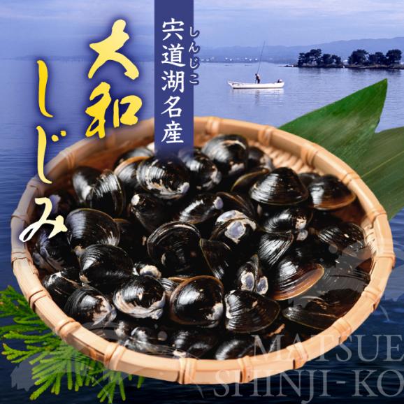 超希少！特大粒プレミアムサイズ 宍道湖産冷凍大和しじみ 特大粒500g×2袋 島根県松江市/平野缶詰有限会社[ALBZ014]04