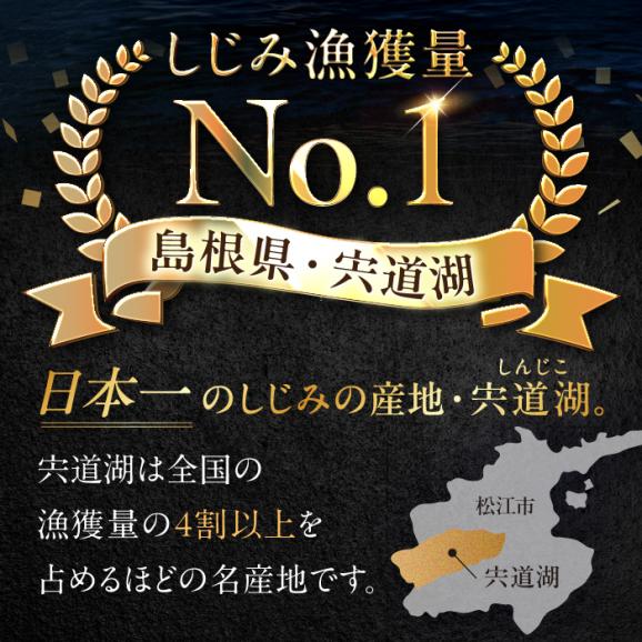 超希少！特大粒プレミアムサイズ 宍道湖産冷凍大和しじみ 特大粒500g×2袋 島根県松江市/平野缶詰有限会社[ALBZ014]05