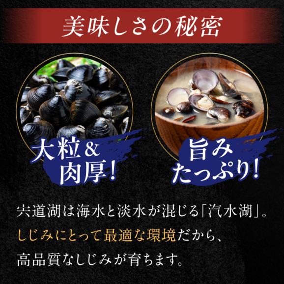 超希少！特大粒プレミアムサイズ 宍道湖産冷凍大和しじみ 特大粒500g×2袋 島根県松江市/平野缶詰有限会社[ALBZ014]06