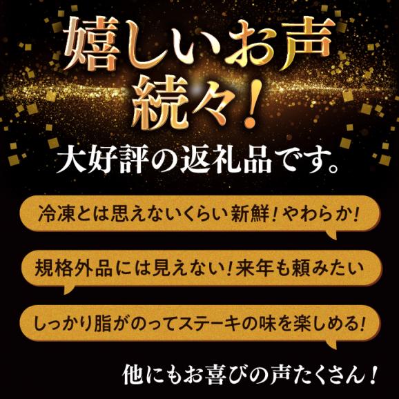【訳あり】最高級品質の和牛肉！しまね和牛コロコロサイコロステーキ(サーロイン･肩ロース・リブロース) 200g×2P 訳あり 小分け 冷凍 島根県松江市/有限会社宮本食肉店[ALCV004]02