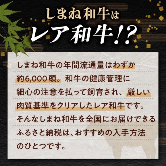 【訳あり】最高級品質の和牛肉！しまね和牛コロコロサイコロステーキ(サーロイン･肩ロース・リブロース) 200g×4P 訳あり 小分け 冷凍 島根県松江市/有限会社宮本食肉店[ALCV005]05