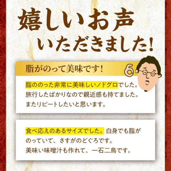 TV放映多数！県内外のファンがわざわざ訪れる 天日ほしもん屋特製 のどぐろ干物&times;2枚（特大サイズ・22cm以上） 島根県松江市/桝谷鮮魚店[ALCJ005]03