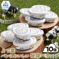 17-111 よつ葉パンにおいしい発酵バター（100ｇ）×10個