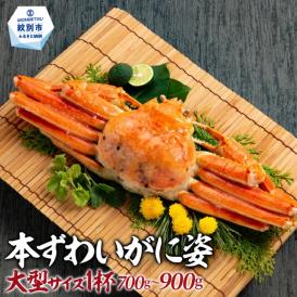18-106 本ずわいがに姿 大型サイズ1杯