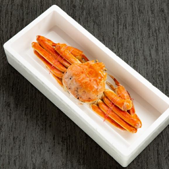 13-393 本ずわいがに姿 大型サイズ1杯 約600～800g04