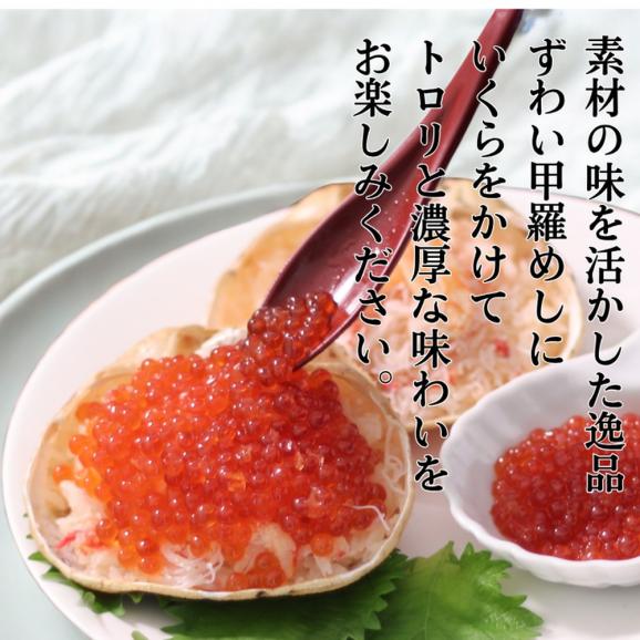 23-33 いくら醤油とずわい甲羅めしセット×2 | 山わさび付02