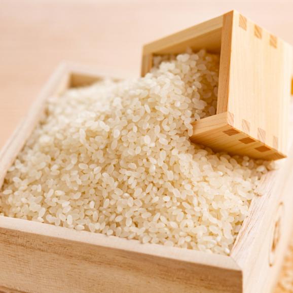 26-47 北海道産ななつぼし10kg(5kg×2)03