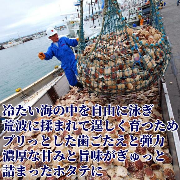 19-76 北海道オホーツク海産ホタテ玉冷バラエティサイズ(1kg)| 訳あり サイズ不揃い02