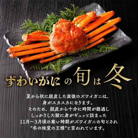 13-138 【訳あり】ボイルずわいがに姿切り1kg03
