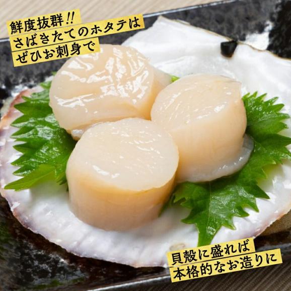 11-145 北海道紋別産 活ホタテ2kg(Lサイズ)04