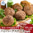 12-176 オホーツクはまなす牛ハンバーグステーキセット