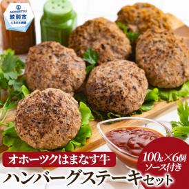 12-176 オホーツクはまなす牛ハンバーグステーキセット