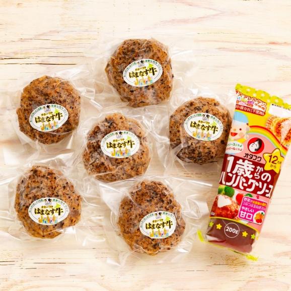 13-91 オホーツクはまなす牛ハンバーグステーキセット04