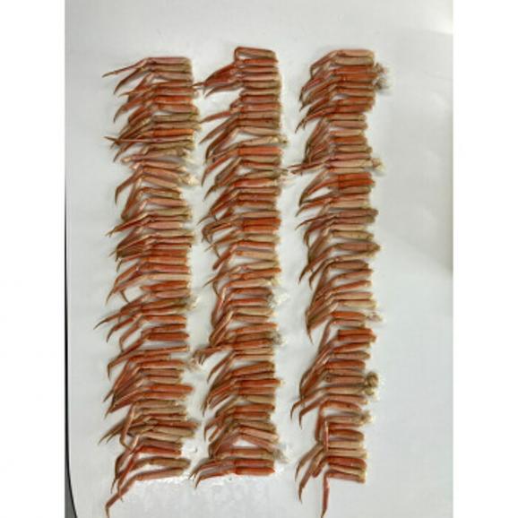 10-511 特盛ボイル本ずわいがに小足 約2kg03