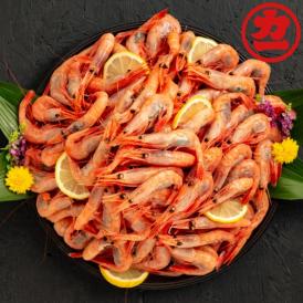 12-193 甘えび（大）1kg