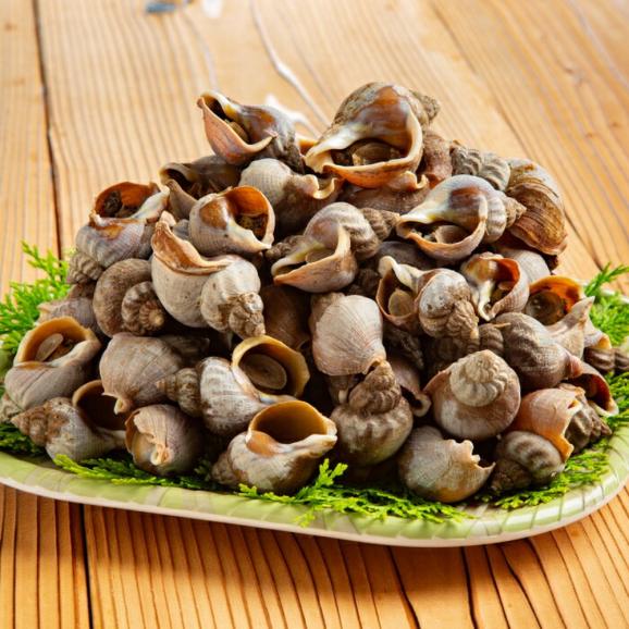 14-107 エゾばい貝(磯ツブ)『醤油煮』1.5kg（300g×5）02