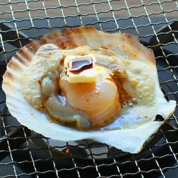 15-293 北海道産ホタテハーフシェル【BBQ用片殻付きほたて】02
