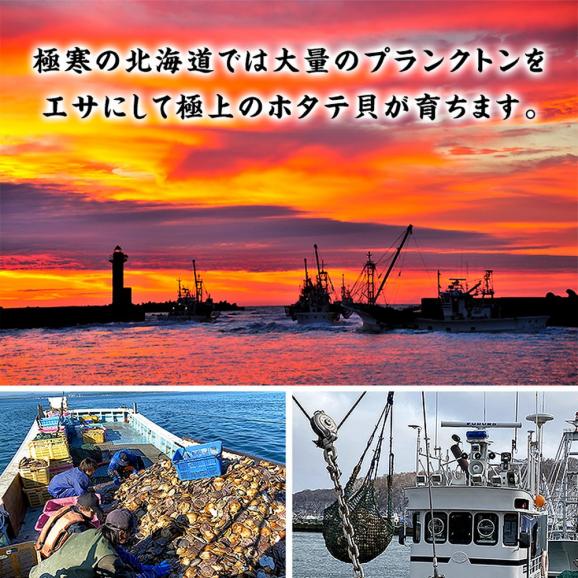 16-103 【訳あり】ほたて貝柱 １kg【欠け/サイズ不揃い】02
