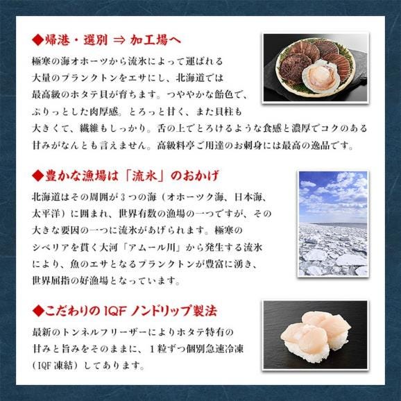 16-103 【訳あり】ほたて貝柱 １kg【欠け/サイズ不揃い】03