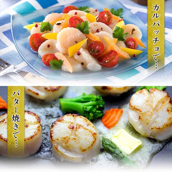 16-103 【訳あり】ほたて貝柱 １kg【欠け/サイズ不揃い】06