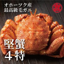 19-35 ボイル毛がに(約440g～570g)×1尾
