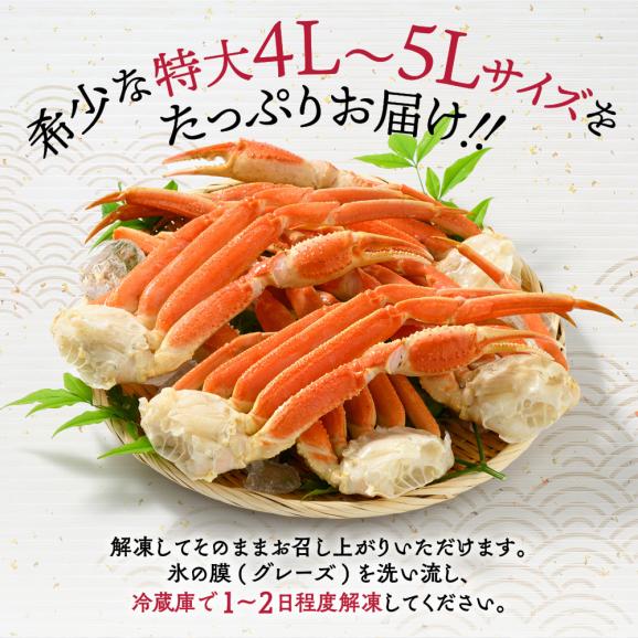 23-53 【特大4L～5L】ボイル本ずわいがに肩脚　4～5肩(約1.5kg)03