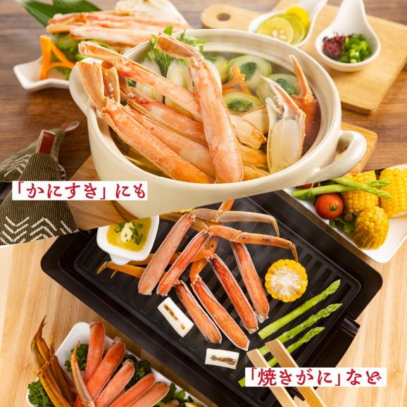23-53 【特大4L～5L】ボイル本ずわいがに肩脚　4～5肩(約1.5kg)05