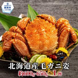 17-283 北海道産毛ガニ　約500～650g×1杯