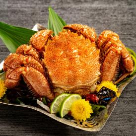 19-57 北海道産毛ガニ　500～650g×1杯