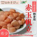 22-105 【希少】お刺身用 赤帆立800g　｜北海道産　グルメ　海鮮丼