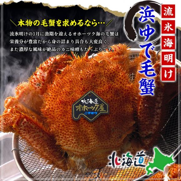 20-269 北海道産　ボイル毛蟹02