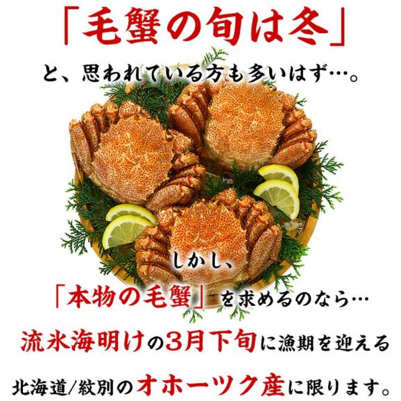 20-269 北海道産　ボイル毛蟹03