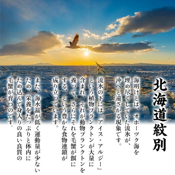 20-269 北海道産　ボイル毛蟹04