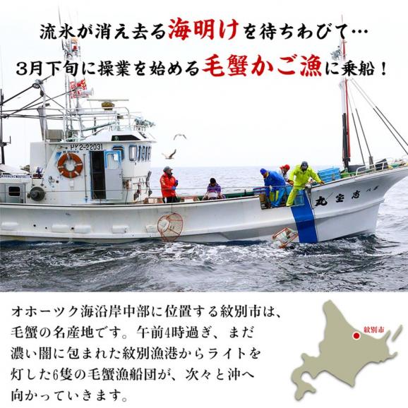 20-269 北海道産　ボイル毛蟹05