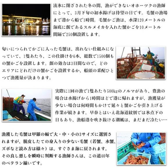 20-269 北海道産　ボイル毛蟹06