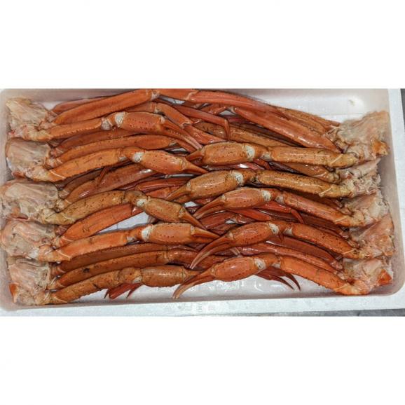 20-273 ボイル紅ずわいがに脚（2kg前後）06