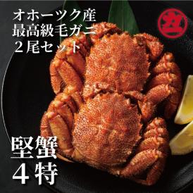 36-24 ボイル毛がに(約440g～570g)×2尾