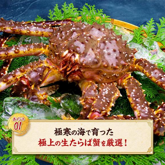 26-33 カット済み特大生たらば蟹足03
