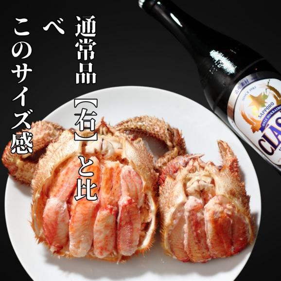 35-44 特大毛がに一杯盛り 【無添加】｜かにみそ 毛がに 高品質03