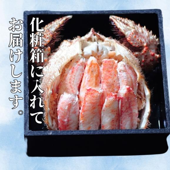 35-44 特大毛がに一杯盛り 【無添加】｜かにみそ 毛がに 高品質05
