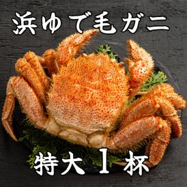 26-37 流氷明け浜ゆで毛ガニ　特大1杯