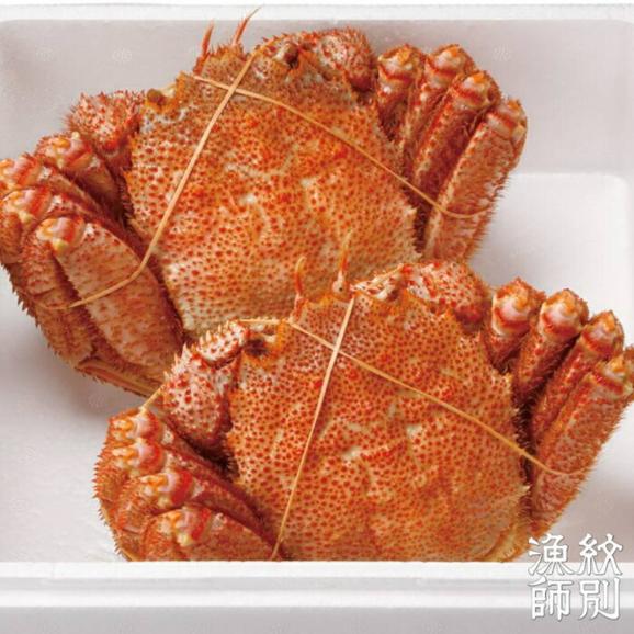 35-45 【北海道産】海明け毛がに姿 2尾計約800g【期間限定5月18日まで受付予定】(冷蔵便)03