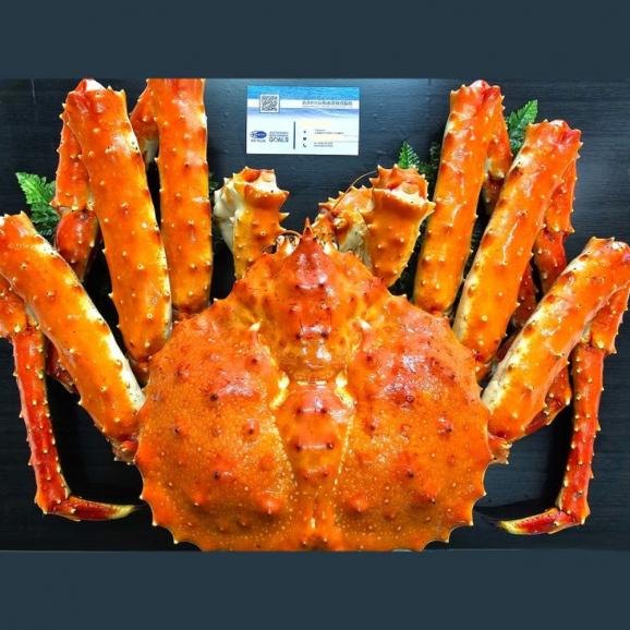 164-1 たらばがに姿　4.1kg02